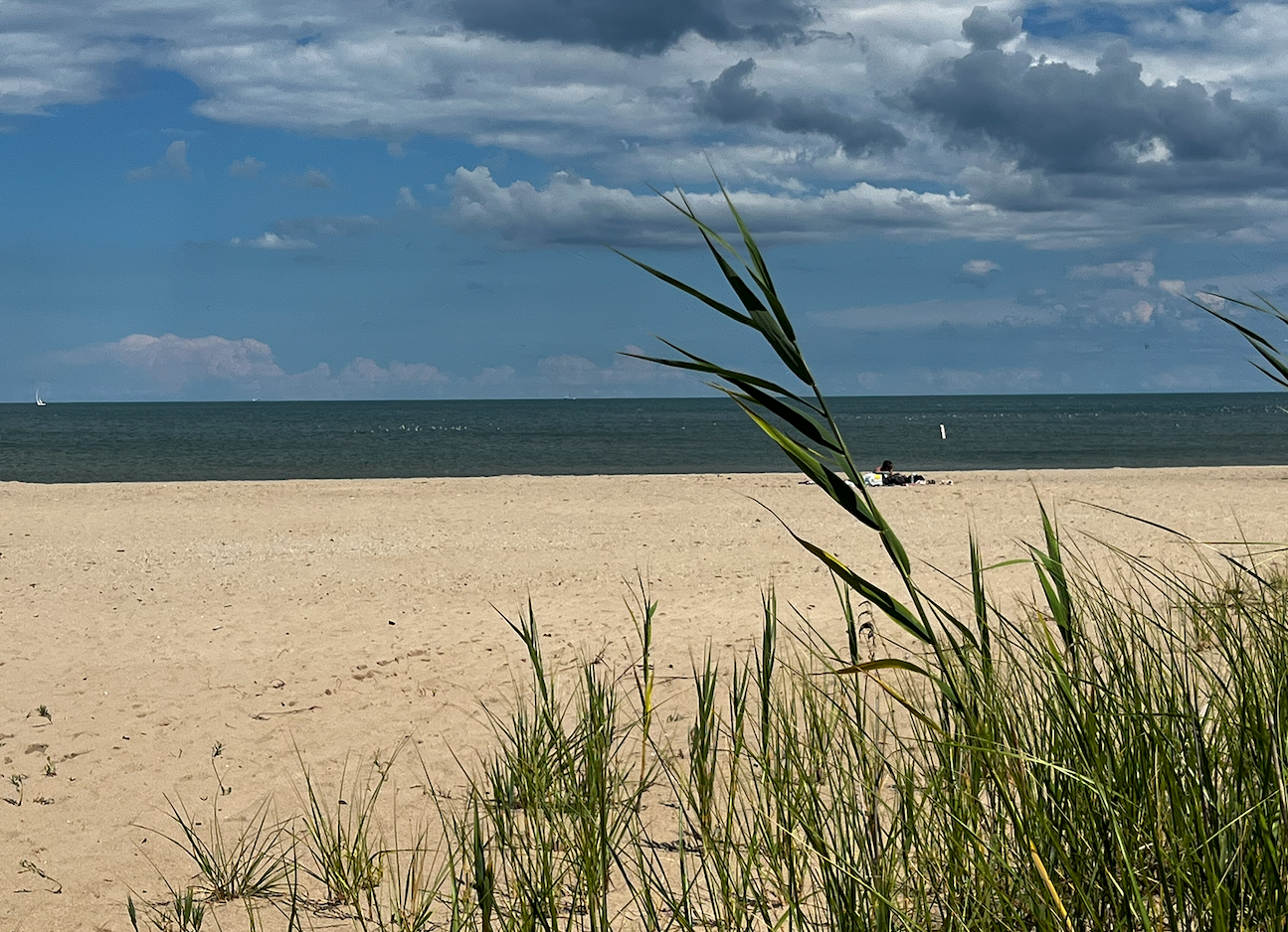 Families enjoying a sunny day at Lake Michigan beach