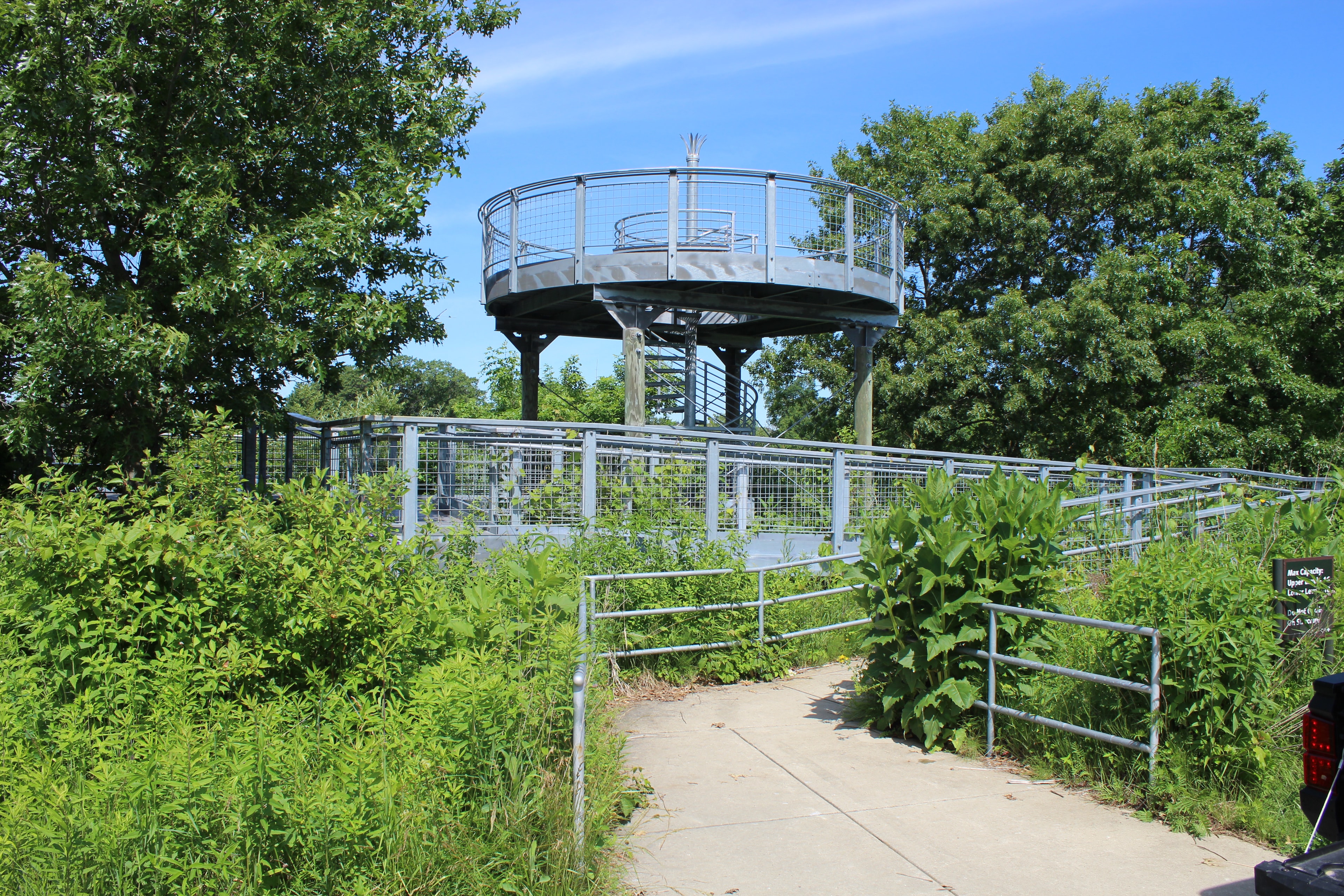 Observation deck with coin-operated binoculars overlooking the Spring Bluff wetland preserve