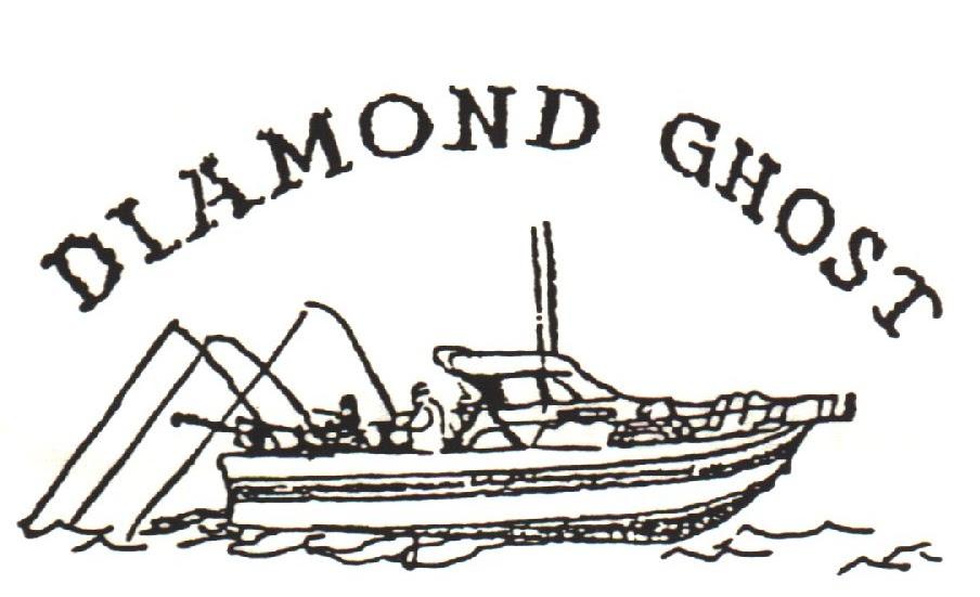 Diamond Ghost Charters logo